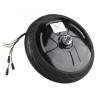 Variklis paspirtukui Ninebot ES1, ES2, ES3, ES4 ar panašiam Segway - Ninebot - 5 Suderinamas su Ninebot ES1, ES2, ES3 ir ES4 pas