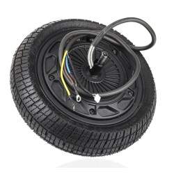 Komplektnyy dvigatel' dlya elektrosamokatov seriy Segway P65, P100SE, P100SU - maksimal'naya moshchnost' 1350 Vt. Segway - Nineb