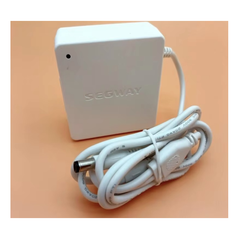 Original internal battery charger for Segway Ninebot W1 Drift - 25v 1.5A  - 1 Original internal battery charger for Segway Nineb