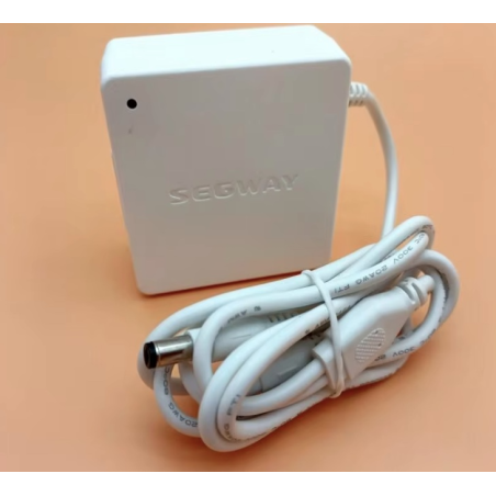 Originalni interni punjač za Segway Ninebot W1 Drift - 25v 1.5A  - 1 Originalni interni punjač za Segway Ninebot W1 Drift - 25v 